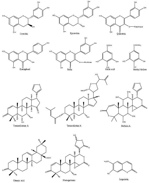 Image for - Chemical and Pharmacological Aspects of Toona (Meliaceae)