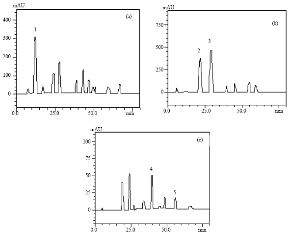 Image for - HPLC/DAD Analysis, Determination of Total Phenolic and Flavonoid Contents and Antioxidant Activity from the Leaves of Cariniana domestica (Mart) Miers
