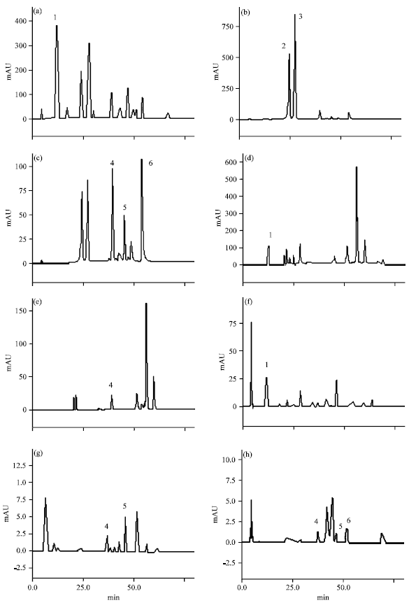 Image for - Antioxidant activities and HPLC/DAD Analysis of Phenolics and Carotenoids from the Barks of Cariniana domestica (Mart.) Miers