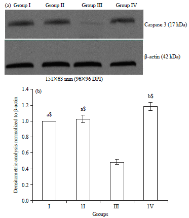 Image for - Ethanolic Extract of Canthium coromandelicum Leaves Exhibits Antioxidant, Anti-inflammatory and Apoptotic Activity in DEN-induced Hepatocellular Carcinoma