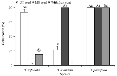 Image for - Variation in Seed Dormancy and Storage Behavior of Three Liana Species of Derris (Fabaceae, Faboideae) in Sri Lanka and Ecological Implications