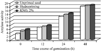 Image for - Halo Priming of Seeds