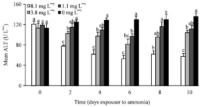 Image for - Stress Quantification in Penaeus monodon Exposed to Different Levels of Ammonia and Subsequent Infection to WSSV