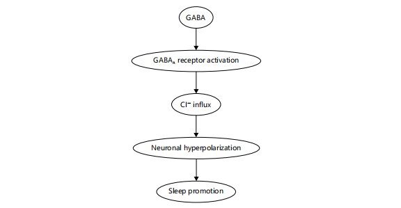 Biochemical Mechanisms Of Sleep Regulation