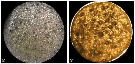 Image for - Development and Evaluation of Ionotropically Emulsion Gelled Sodium Alginate Beads and its Morphological Characterization by Optical Micrographs