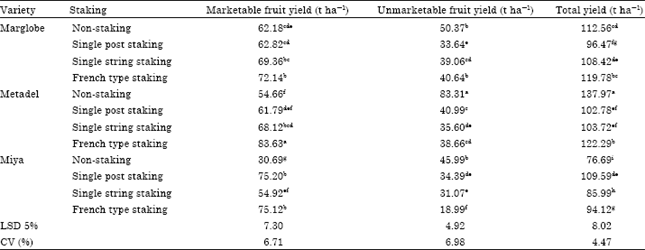 Image for - Yield and Quality of Indeterminate Tomato (Lycopersicon esculentum  Mill.) Varieties with Staking Methods in Jimma