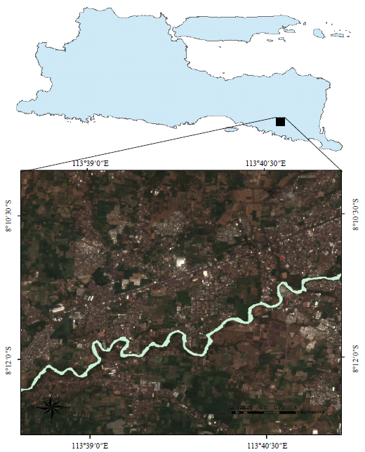 Image for - Analysis of Total Suspended Solids (TSS) at Bedadung River, Jember District of Indonesia Using Remote Sensing Sentinel 2A Data