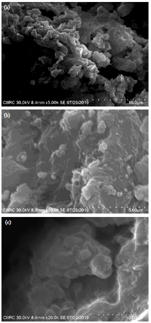 Image for - Streptomyces Mediated Synthesis of Copper Oxide Nanoparticles (CuO-NPs) and its Activity Against Malassezia furfur