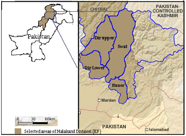 Image for - Ethnomedicinal and Cultural uses of Ziziphus Species in Flora of Malakand Division KP, Pakistan