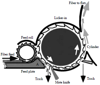 Image for - Effect of Feed Plate to Taker-in Distance of Carding Machine on the Quality of Cotton Card Sliver and CVC Ring-spun Yarn