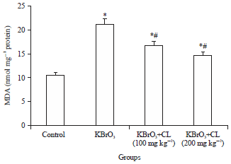 Image for - Effect of Curcuma longa (Turmeric) Against Potassium Bromate-induced Cardiac Oxidative Damage, Hematological and Lipid Profile Alterations in Rats
