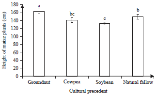 Image for - Effect of Cultural Precedents of Leguminous (Groundnuts, Cowpeas and Soybeans) on Maize Production (Zea mays L. Poaceae) in Ferkessedougou North of Côte d'ivoire
