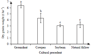 Image for - Effect of Cultural Precedents of Leguminous (Groundnuts, Cowpeas and Soybeans) on Maize Production (Zea mays L. Poaceae) in Ferkessedougou North of Côte d'ivoire