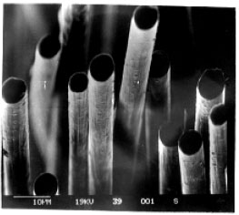 Image for - Structural and Morphological Features of Graphitised Carbon Fibres