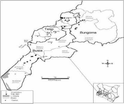 Image for - Influence of Socio-Economic and Cultural Activities on Vector-Host nteraction and Risk of Rhodesian Sleeping Sickness at Busia and Nguruman Areas of Kenya