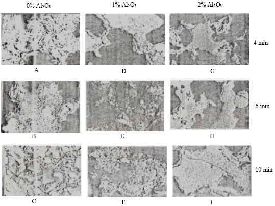 Image for - Roles of Alumina and Magnesia on the Formation of SFCA in Iron Ore Sinters