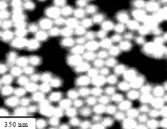 Image for - Case Study on Construction of Platinum Nanoparticle Stabilized with Decanethiol into Silica Substrate