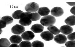 Image for - Case Study on Construction of Platinum Nanoparticle Stabilized with Decanethiol into Silica Substrate