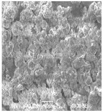 Image for - Microencapsulation of Colistin Sodium Methanesulfonate in Gum Arabic and Maltodextrin by Spray Drying