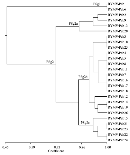 Image for - Occurrence, Distribution and Characterization of Rice Yellow Mottle Virus Isolates Genus Sobemovirus in Southwest Nigeria