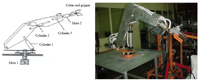 Image for - Videogrammetry Application for Stereo Vision Bio-production Harvester