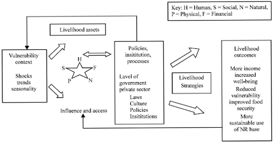 Image for - The Missing Link in Understanding and Assessing Households’ Vulnerability to Poverty: A Conceptual Framework