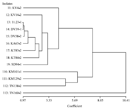 Image for - Pathogenic Diversity of Xanthomonas oryzae pv. oryzae Isolates in Togo