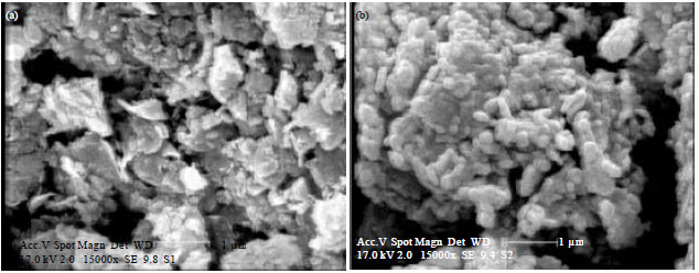 Image for - Adsorption Behavior of Reactive Blue 29 Dye on Modified Nanoclay