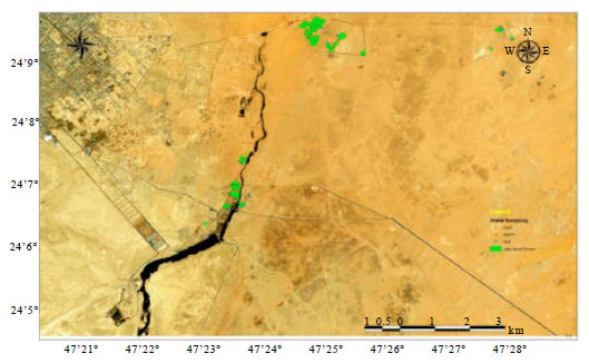 Image for - Ecological Study of Wadi Thulaim in Al-Kharj, Saudi Arabia