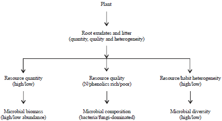 Image for - Structural and Functional Relationships Between Plant and Soil Microbial Communities for the Management of Grasslands