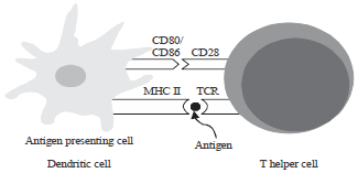Image for - Interaction between Th9 cells, Interleukin-9 and Oxidative Stress in Chronic Lymphocytic Leukemia