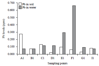 Image for - Determination of Heavy Metals in Soil and Water Samples from Mambilla Artisanal Mining Site and its Environs