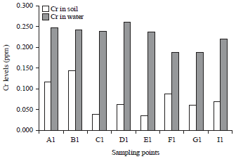 Image for - Determination of Heavy Metals in Soil and Water Samples from Mambilla Artisanal Mining Site and its Environs
