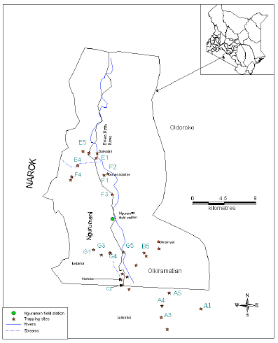 Image for - Susceptibility and Transmission Capacity of Subpopulations of Glossina pallidipes to Human Infective Trypanosoma brucei rhodesiense
