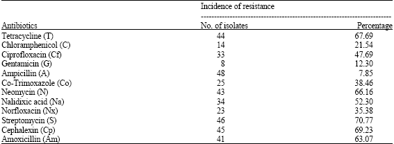 Image for - Prevalence and Antibiotic Sensitivity of Shiga Toxin Producing Escherichia coli in Gulbarga Region, India