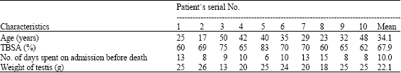 Image for - Histopathological Patterns of the Testes in Patients with Severe Burns Not Involving the Perineum (A Case Series Study)