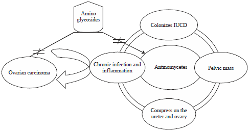 Image for - Prolonged Aminoglycoside Treatment for Pelvic Inflammatory Disease Associated Ovarian Carcinoma