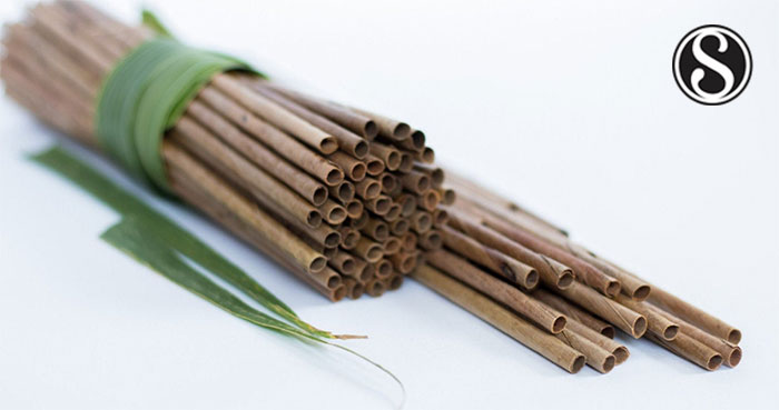 Drinking Straw from Coconut Leaf: A Study of its Epicuticular Wax ...