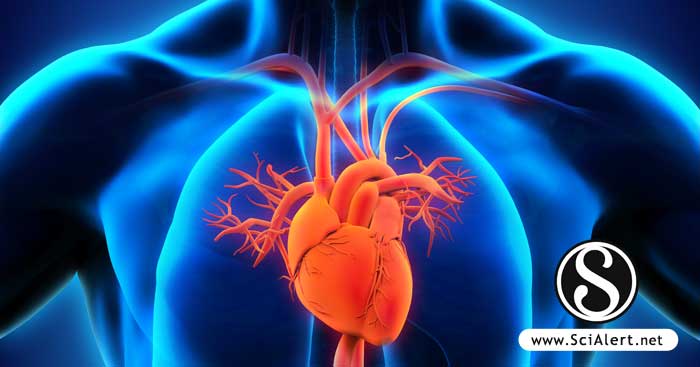 Role of Carnitine on Hematological Parameters and Attenuation of Cardiac  (Pro)renin Receptor and Caspase-3 Expression in Hypoglycemia-induced  Cardiac Hypertrophy - SciAlert Responsive Version
