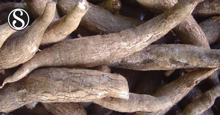 physico-functional-and-sensory-properties-of-flour-and-bread-made-from-composite-wheat-cassava